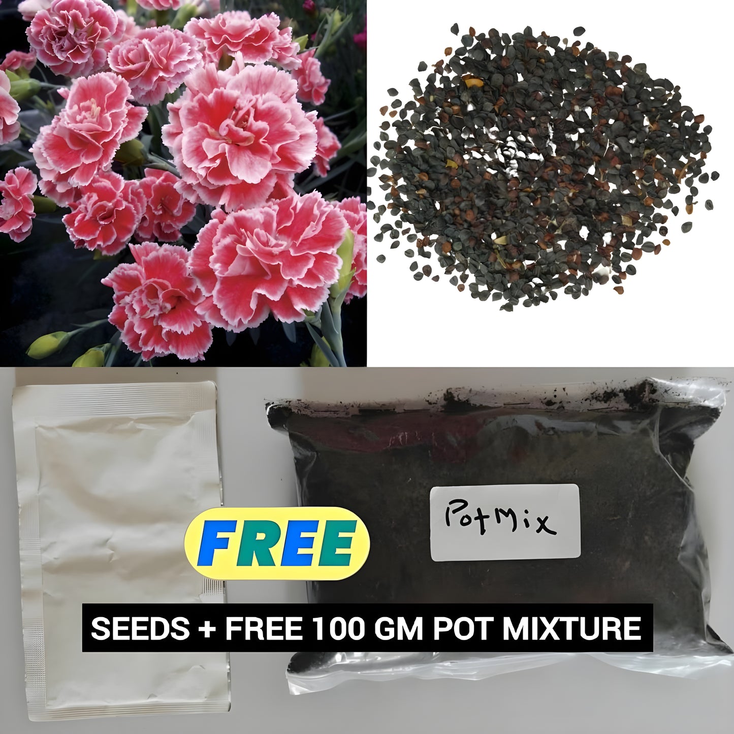 Carnation Seeds (Free Pot Mixture 100 gm)
