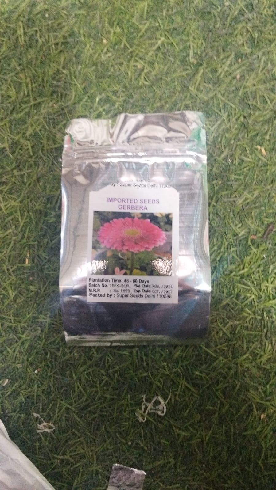 Gerbera Mix Flower Seeds