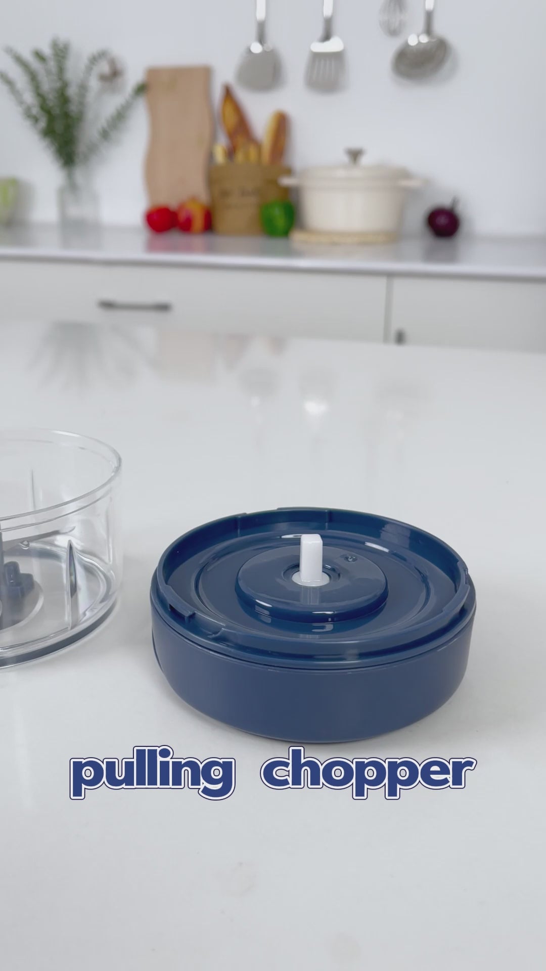 Mini Handy & Compact Chopper