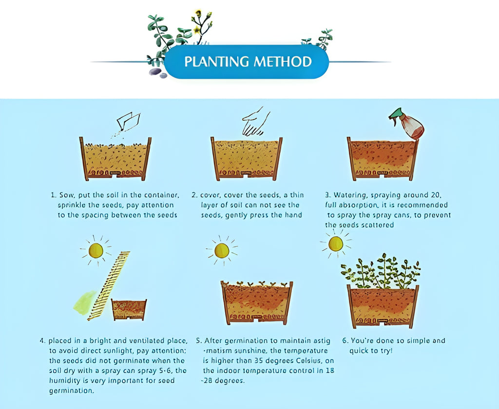 Mix Colour Bougainvillea Flower Seeds For Home Garden