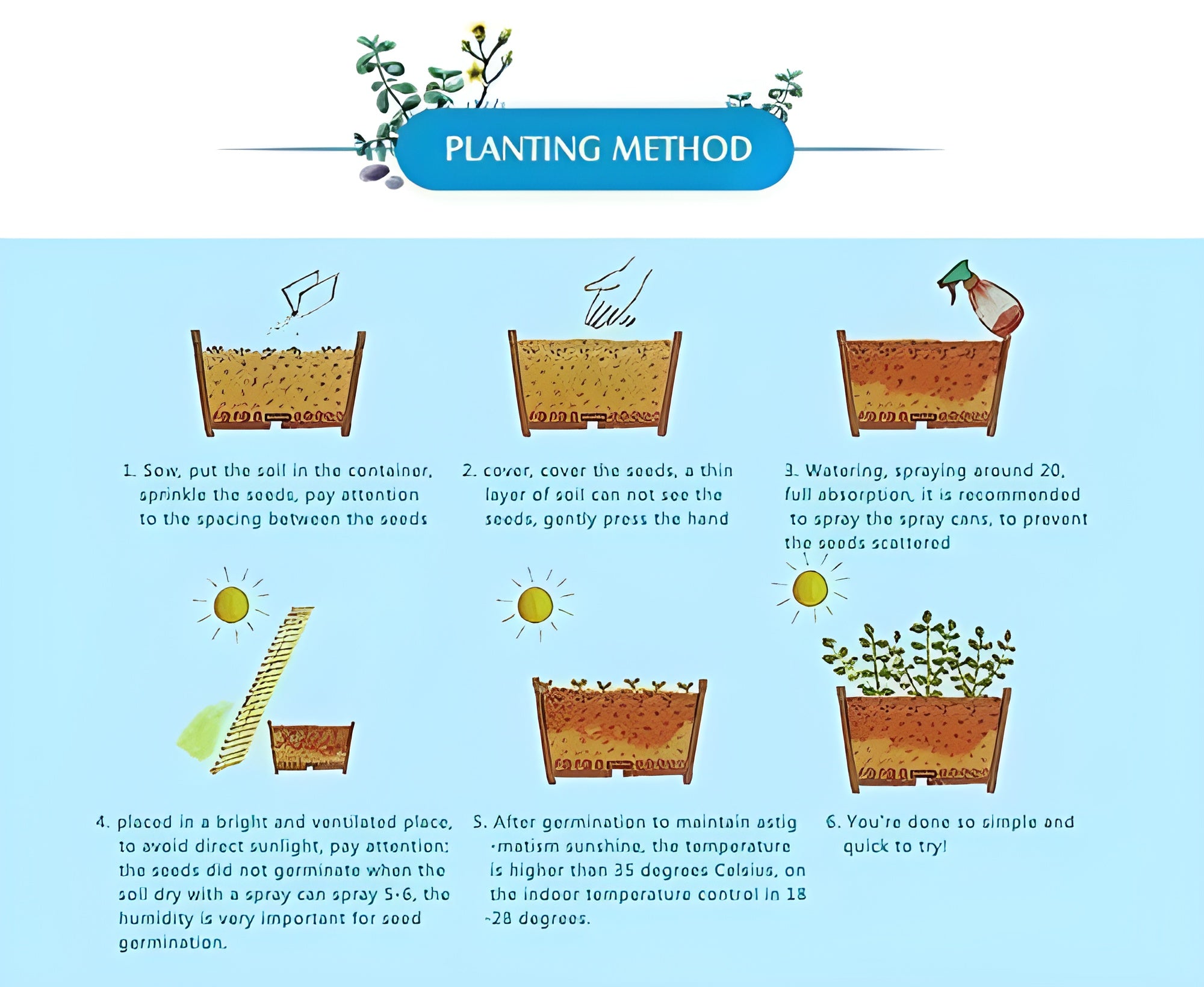 Mix Colour Bougainvillea Flower Seeds For Home Garden