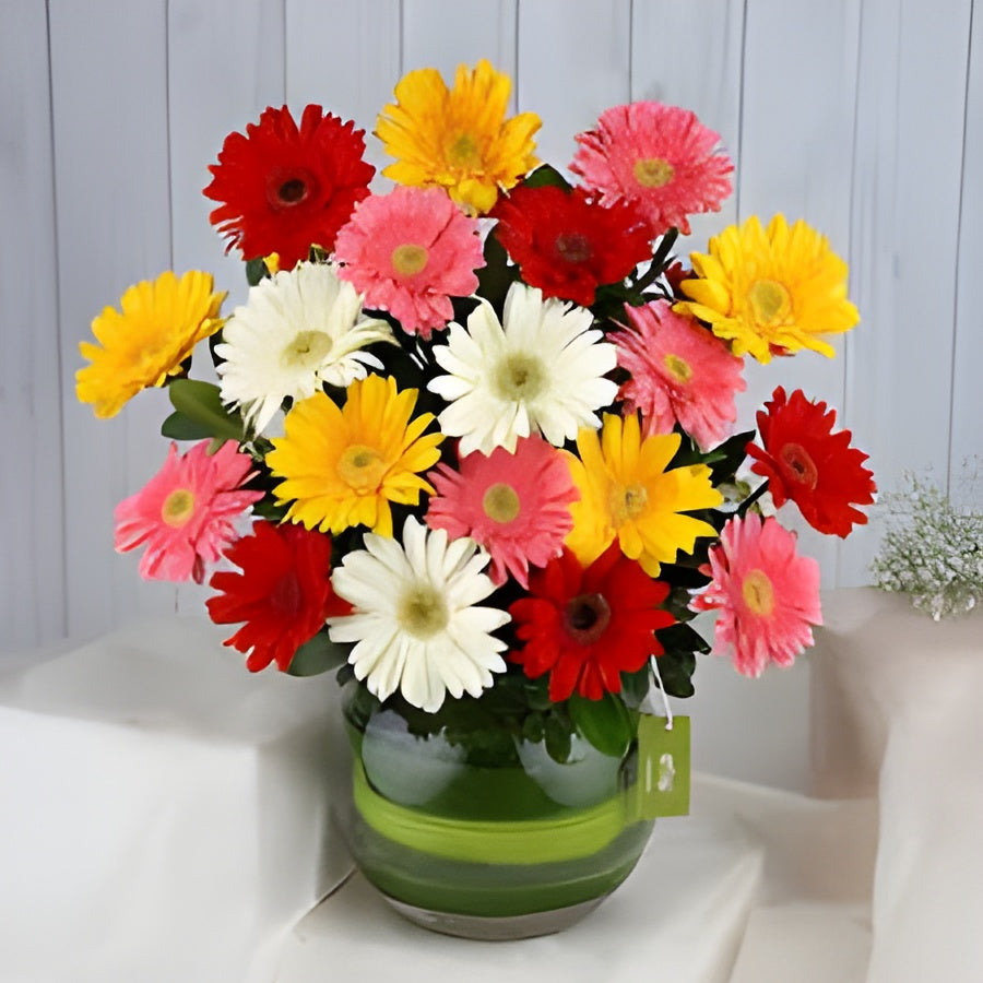 Gerbera Mix Flower Seeds